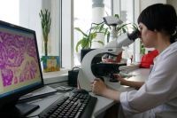 Диспансеризация в борьбе против рака. Есть ли вакцина от рака?